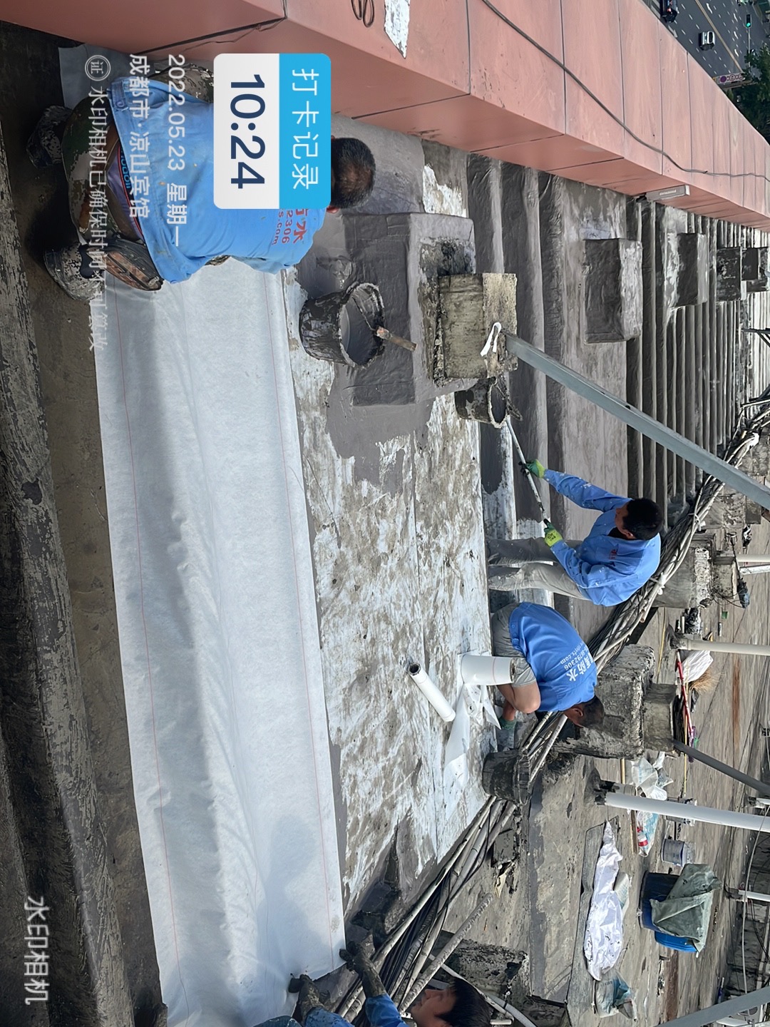 1654307343147873.jpg 1654307343147873.jpg