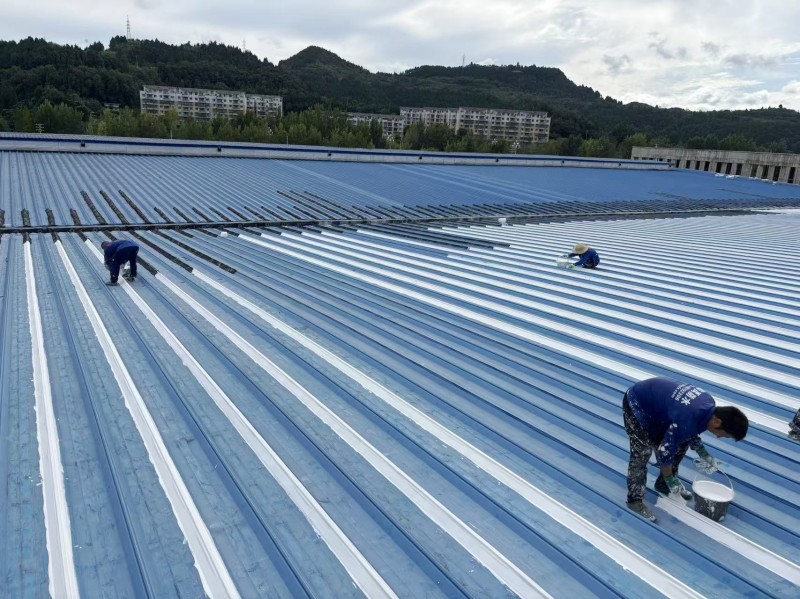 conew_bcd22ccebcf9b9dbe9af19f0bc0e98a7.jpg